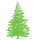 Pine Wood Furniture